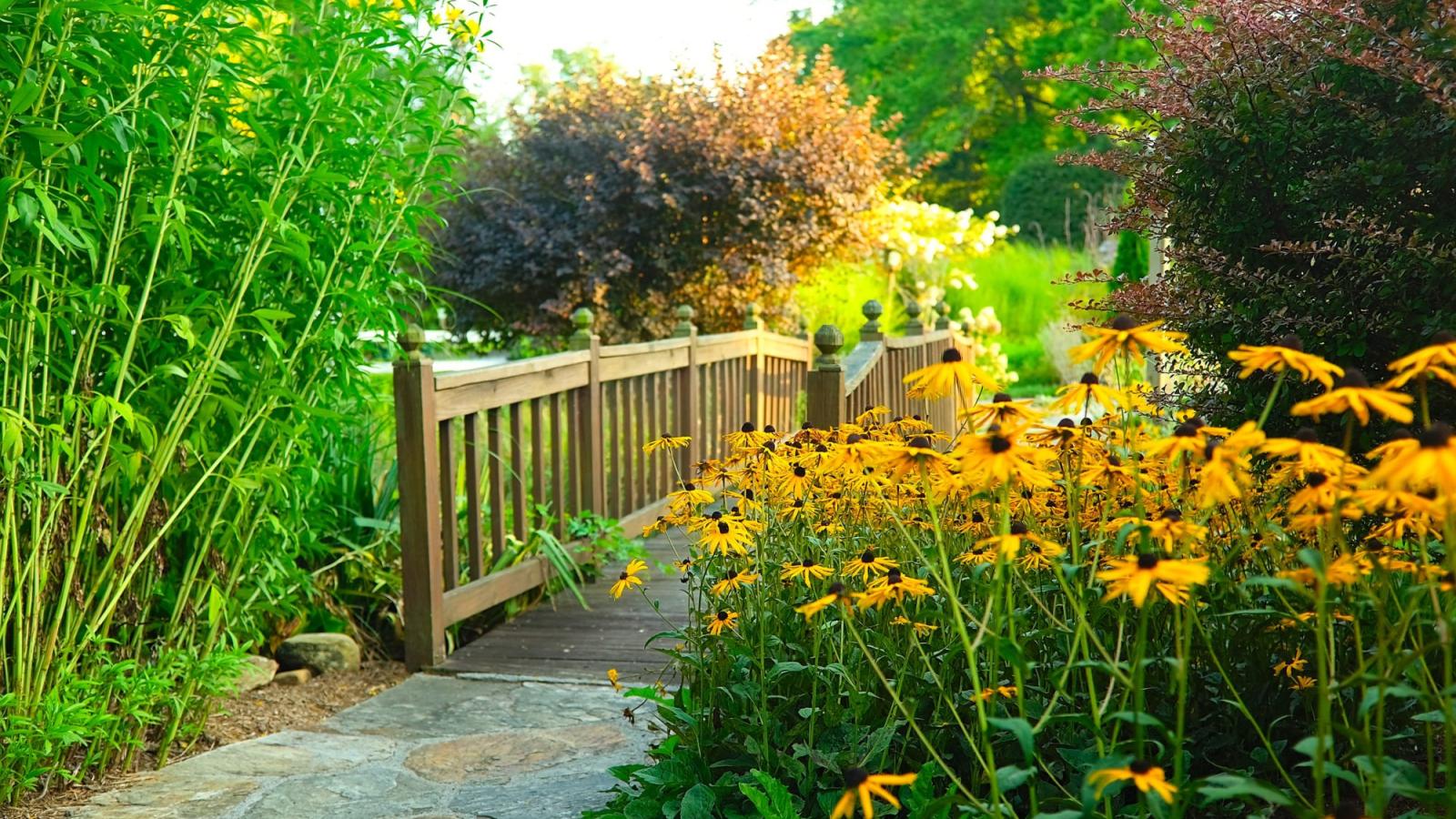 Bridge and Garden